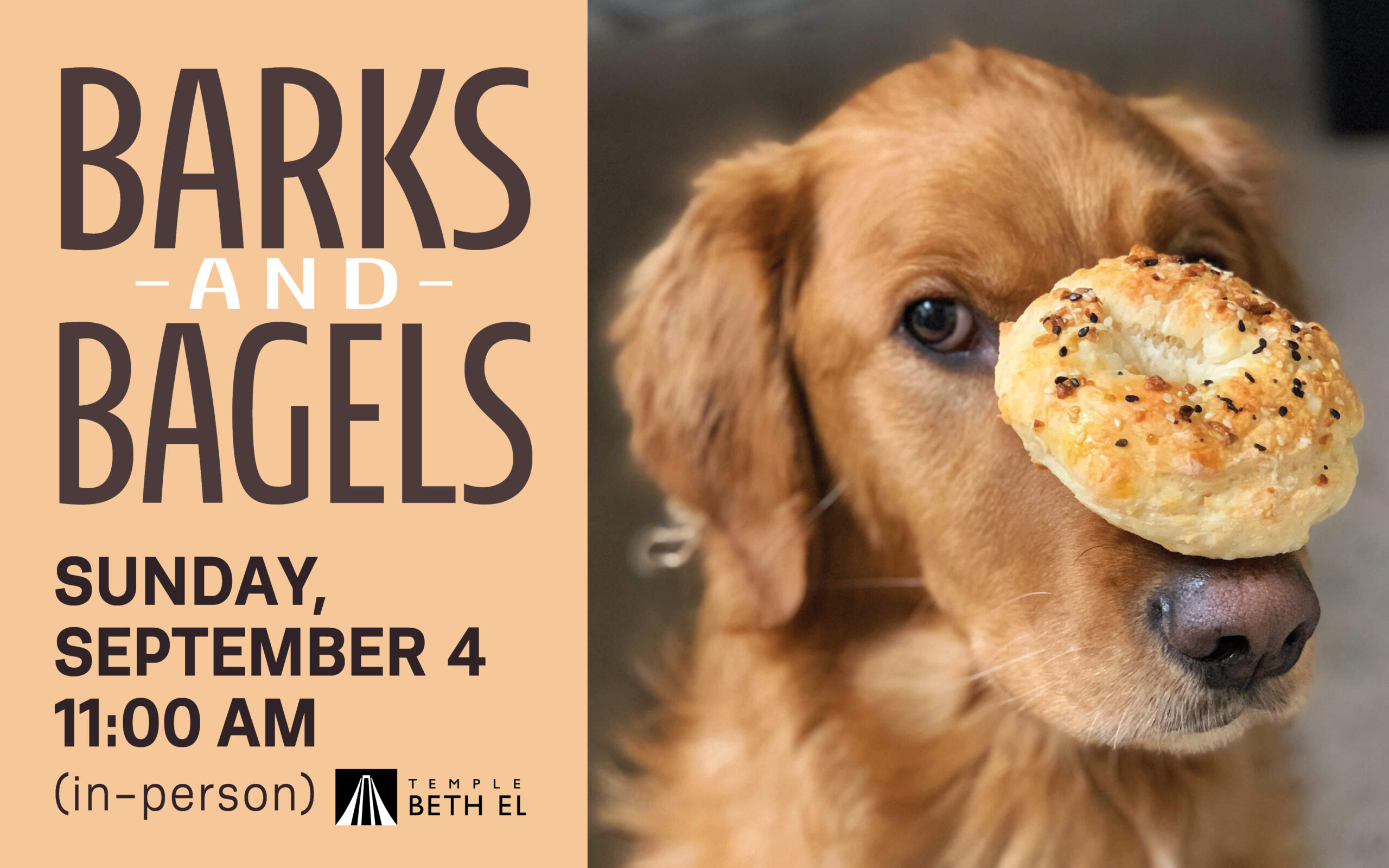 Barks and Bagels